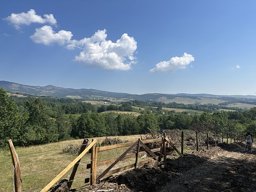 Slika