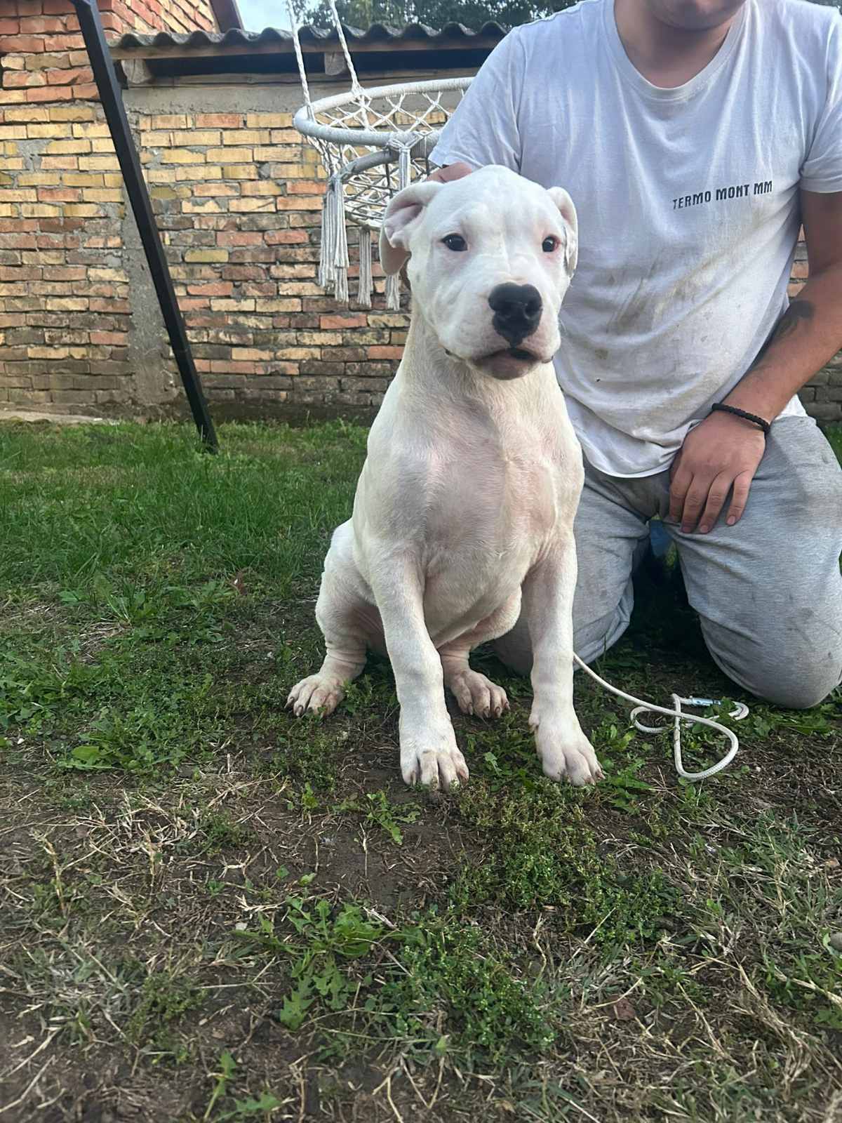 Slika