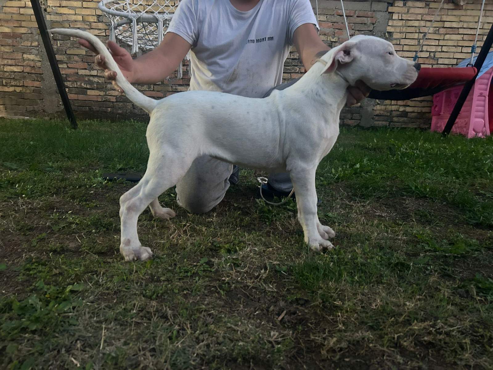 Slika