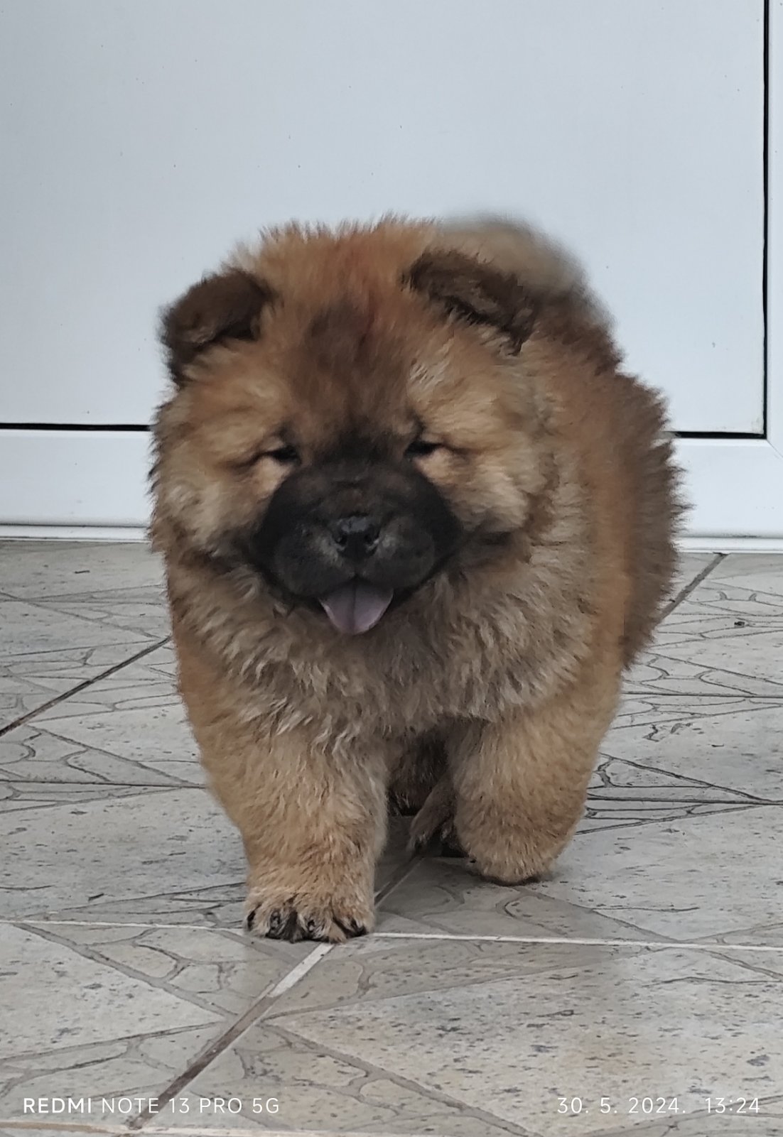 Slika