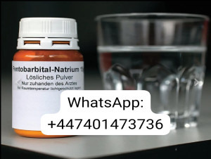  Oral Solution